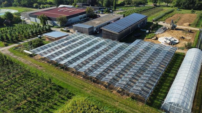 Agri-PV: Chance f&uuml;r Landwirtschaft und Energiewende