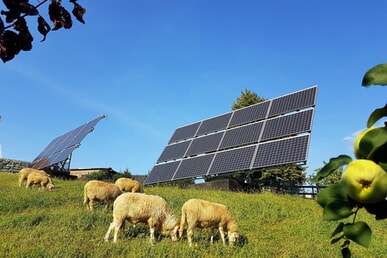 Musterpachtvertrag f&uuml;r Freifl&auml;chen-PV: Planungssicherheit und zus&auml;tzliche Einnahmen f&uuml;r Kommunen