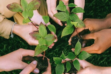 F&ouml;rderprogramm &bdquo;Klimaschutz+&ldquo;: gemeinsam Projekte f&uuml;r die Zukunft gestalten