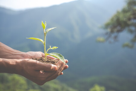Klimarelevanz von Gemeinderatsbeschlüssen – Ein Erfahrungsbericht aus über einem Jahr Praxis (online)