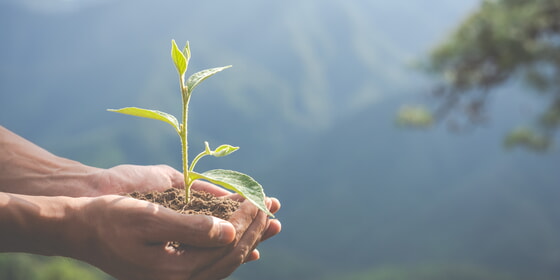 Klimaschutz im Landkreis