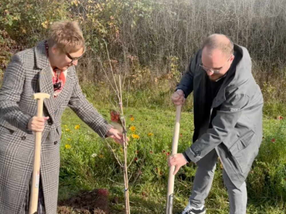 Baumpflanz-Challenge